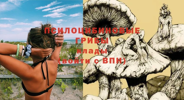 трава Кулебаки